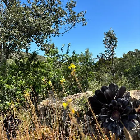 Santa 펜션 포르토베쉬오