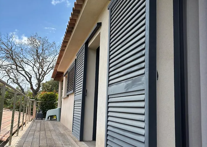 Santa * 维琪奥港