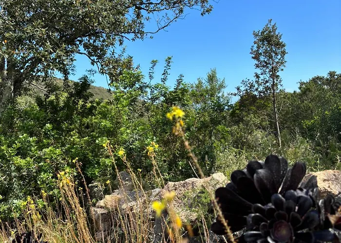 Santa 度假居 维琪奥港